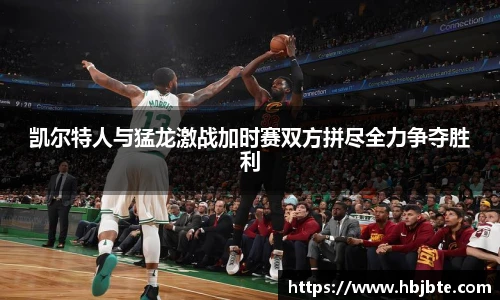 15vip太阳成集团