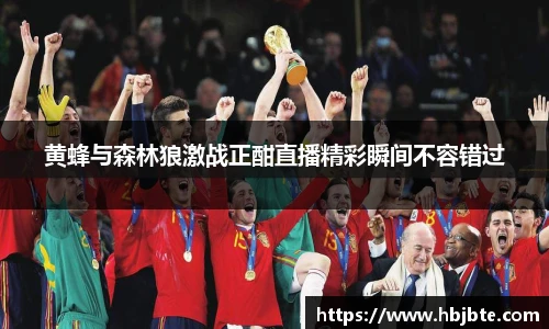 黄蜂与森林狼激战正酣直播精彩瞬间不容错过